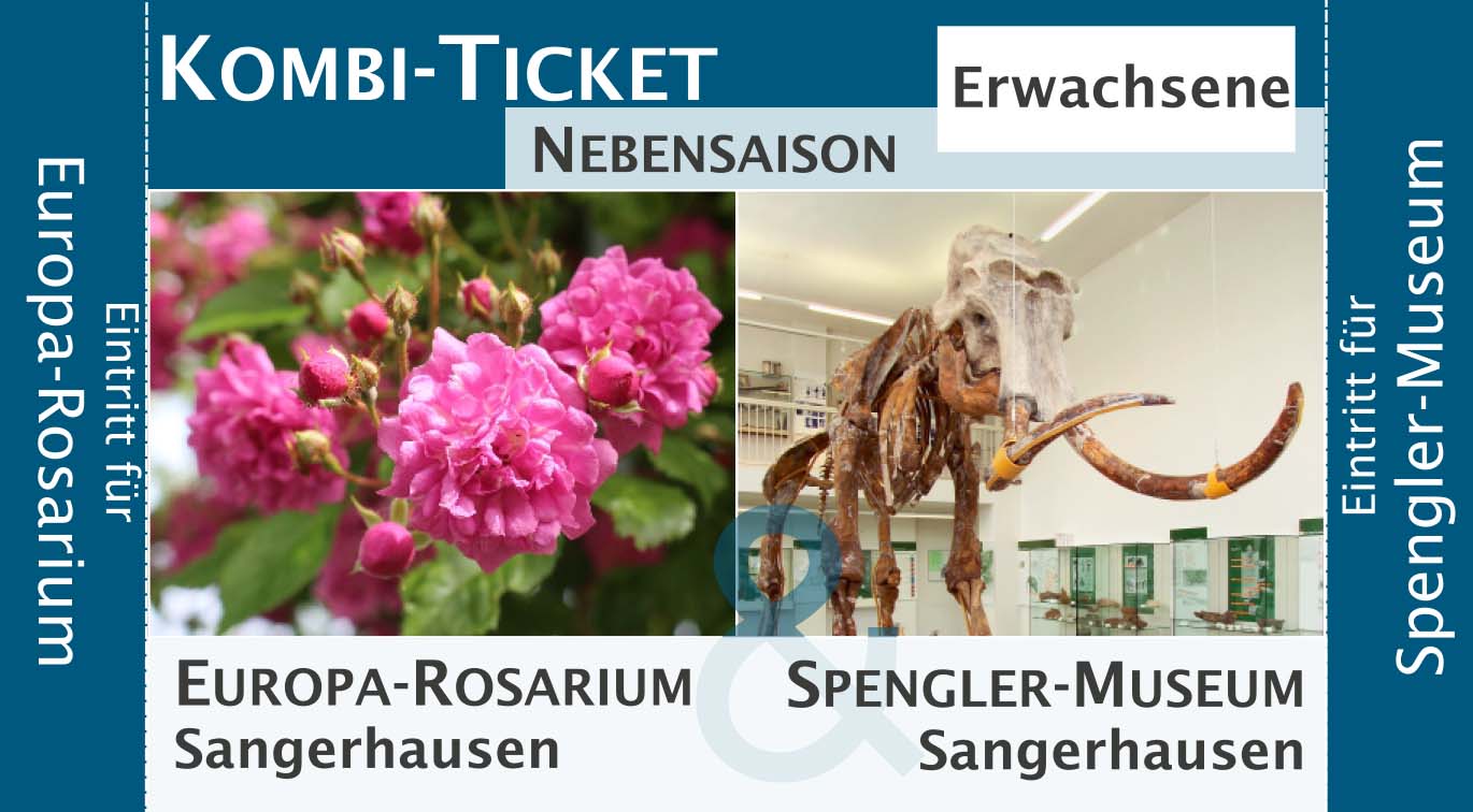 Kombi-Ticket Europa-Rosarium & Spengler-Museum im MAI, SEPTEMBER, OKTOBER